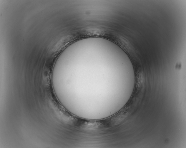 X0000111380414200907241314