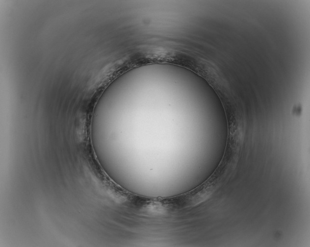 X0000111380416200907241314