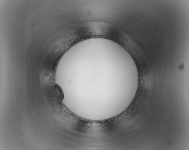 X0000111380419200907241314