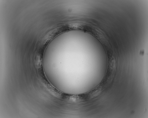 X0000111380420200907241314