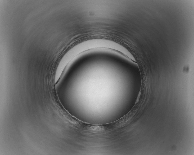 X0000111380421200907241314