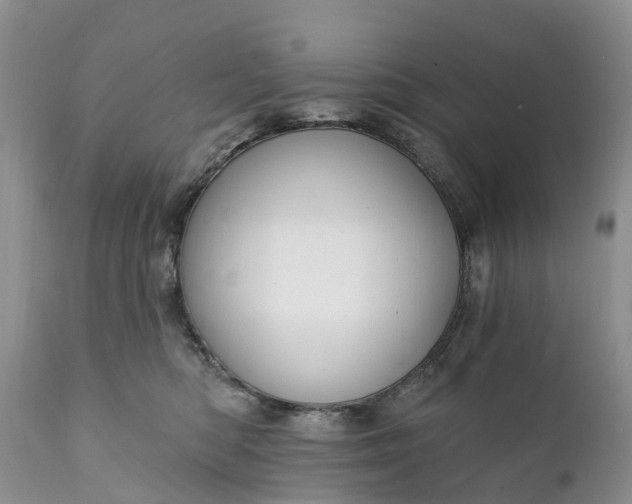 X0000111380422200907241314