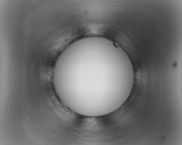 X0000111380423200907241314