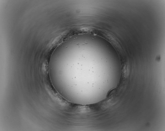 X0000111380424200907241314