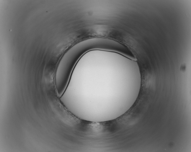 X0000111380425200907241314