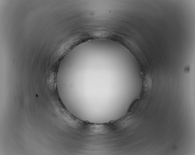 X0000111380428200907241314