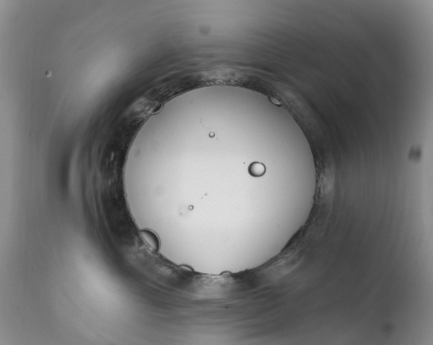 X0000111380429200907241314