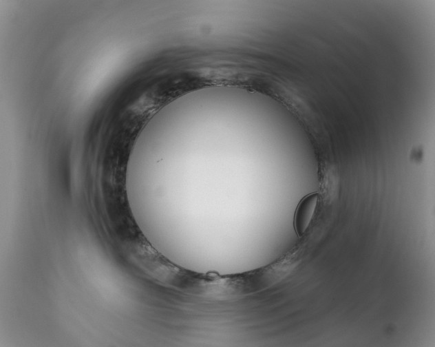 X0000111380430200907241314