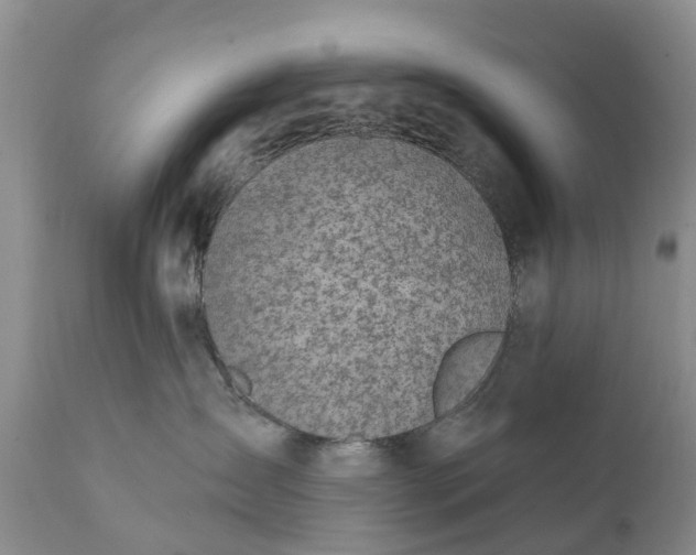 X0000111380431200907241314