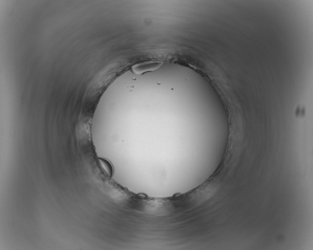 X0000111380432200907241314