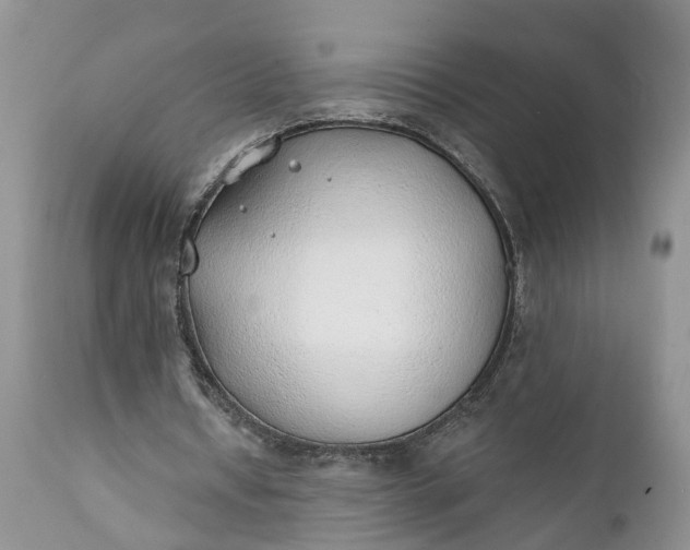 X0000111380434200907241313