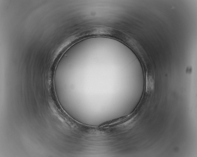 X0000111380435200907241313