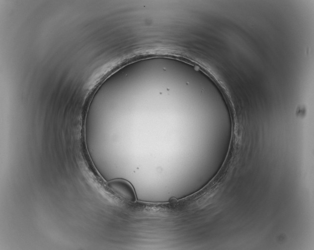 X0000111380437200907241313