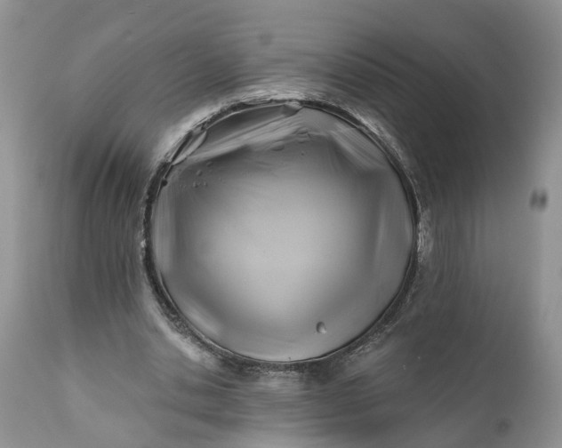 X0000111380438200907241313