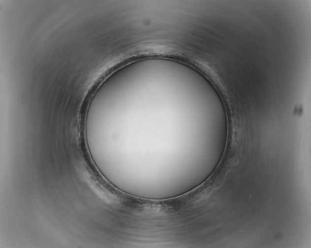 X0000111380439200907241313