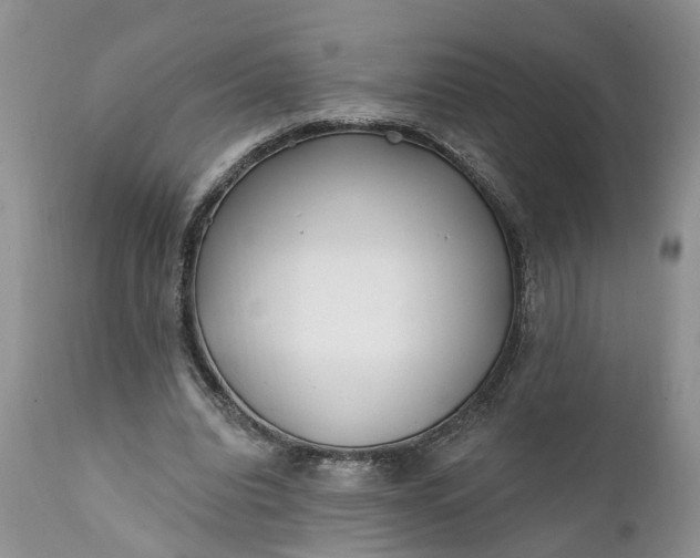 X0000111380440200907241313