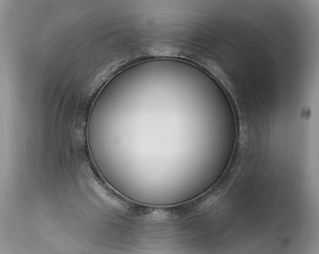 X0000111380441200907241313