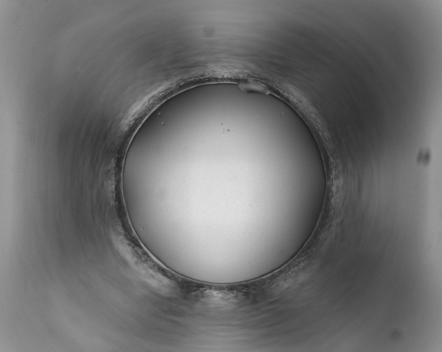 X0000111380442200907241313