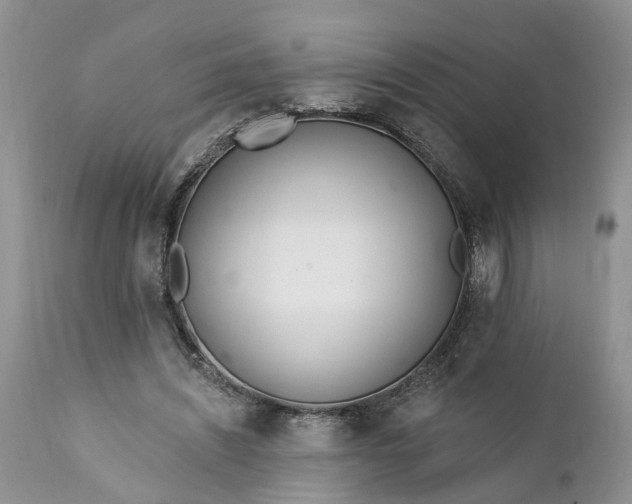 X0000111380444200907241313