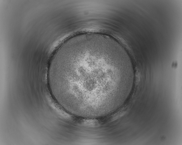 X0000111380446200907241313