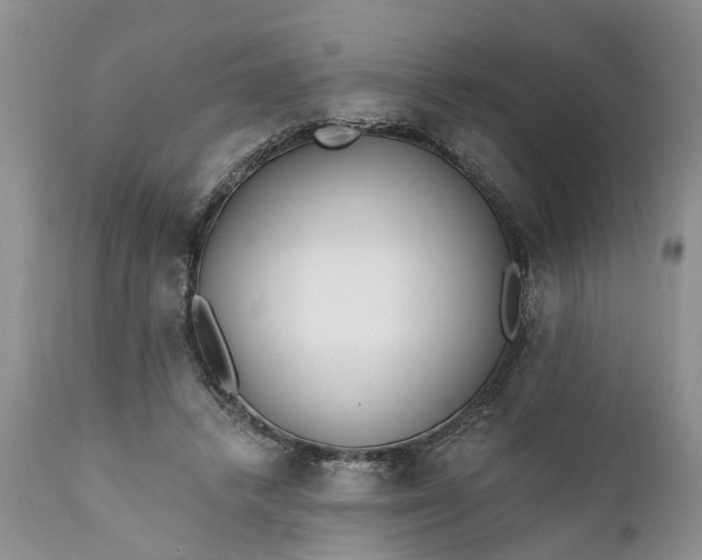 X0000111380448200907241313