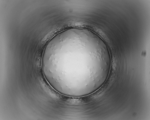 X0000111380449200907241313