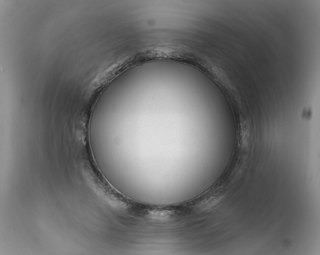 X0000111380450200907241313