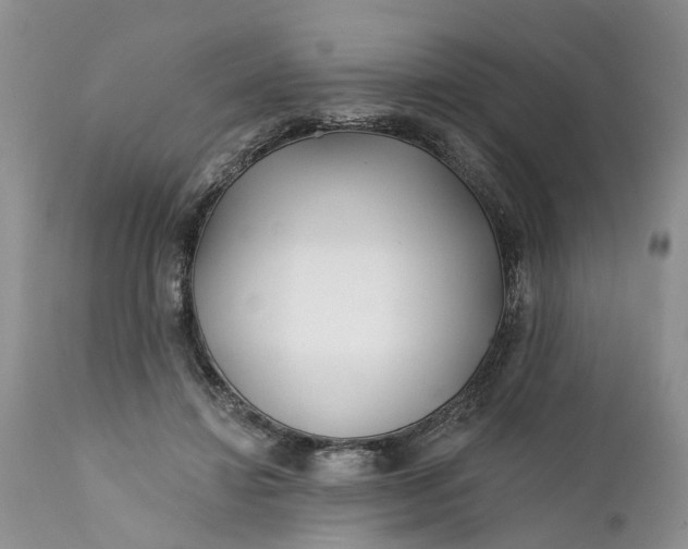 X0000111380452200907241313