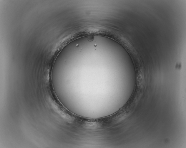 X0000111380454200907241313