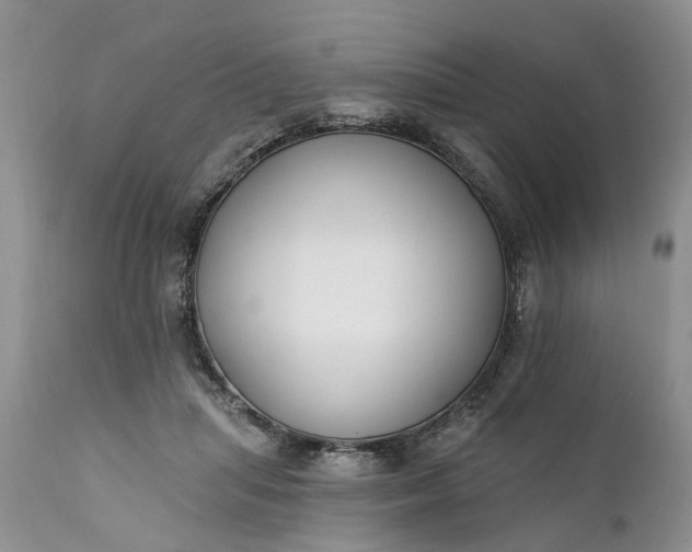 X0000111380455200907241313