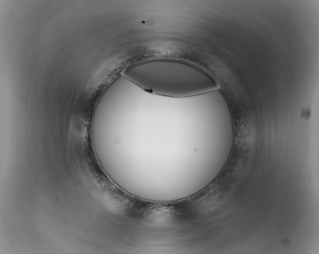 X0000111380456200907241313