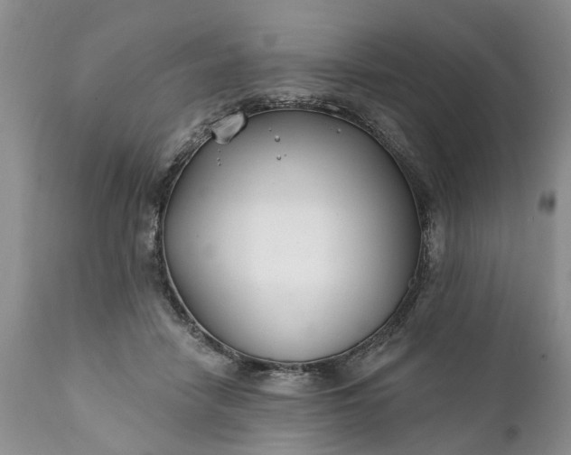 X0000111380458200907241313