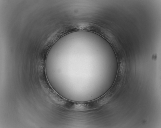 X0000111380461200907241314