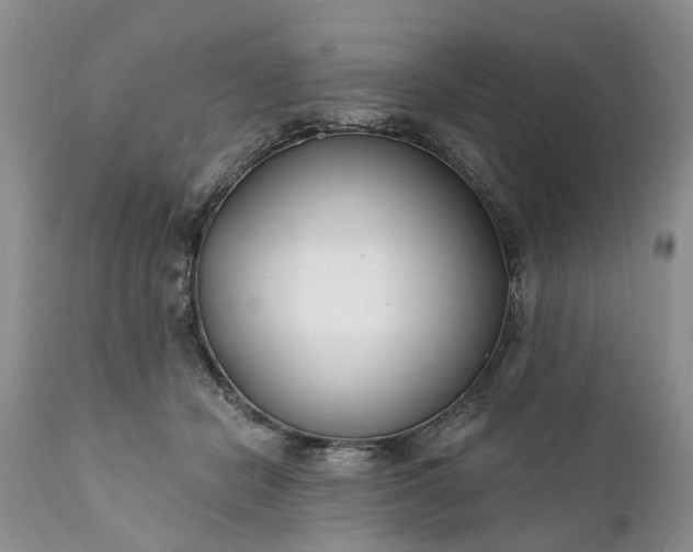 X0000111380462200907241314