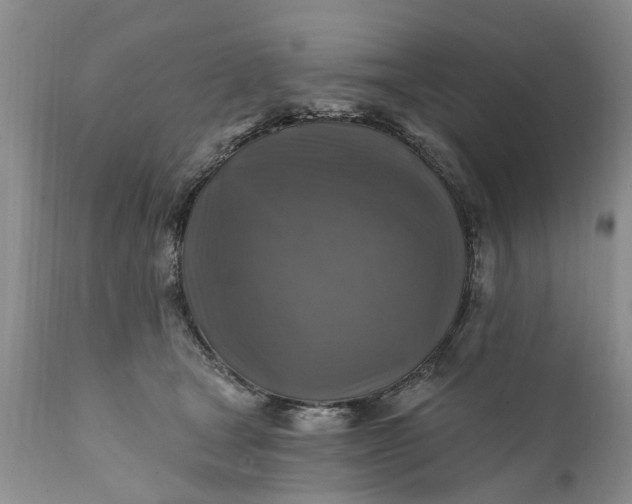 X0000111380465200907241314