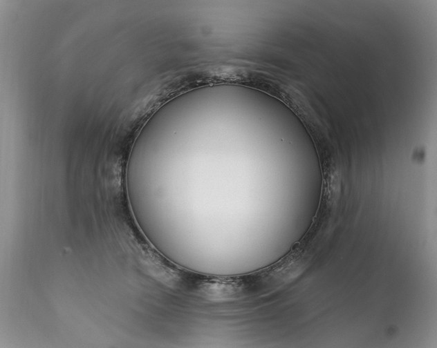 X0000111380466200907241314