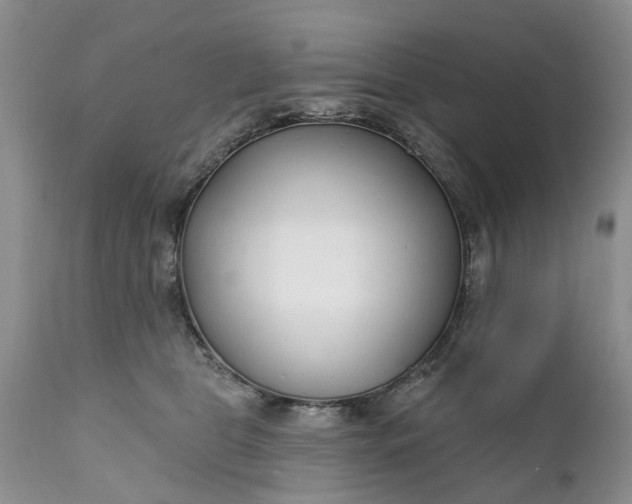 X0000111380469200907241314