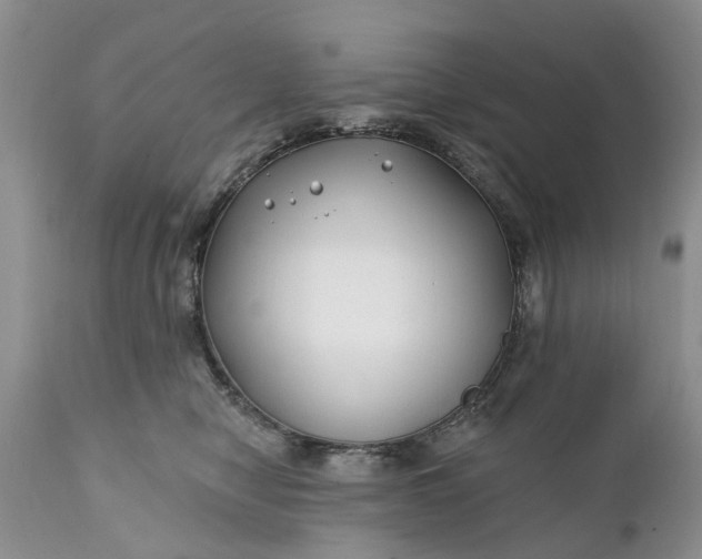 X0000111380470200907241314