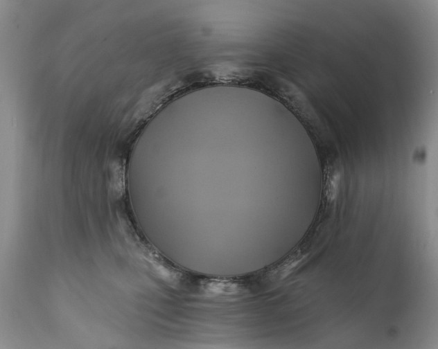 X0000111380471200907241314