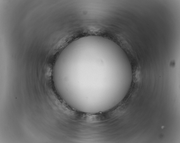 X0000111380472200907241314