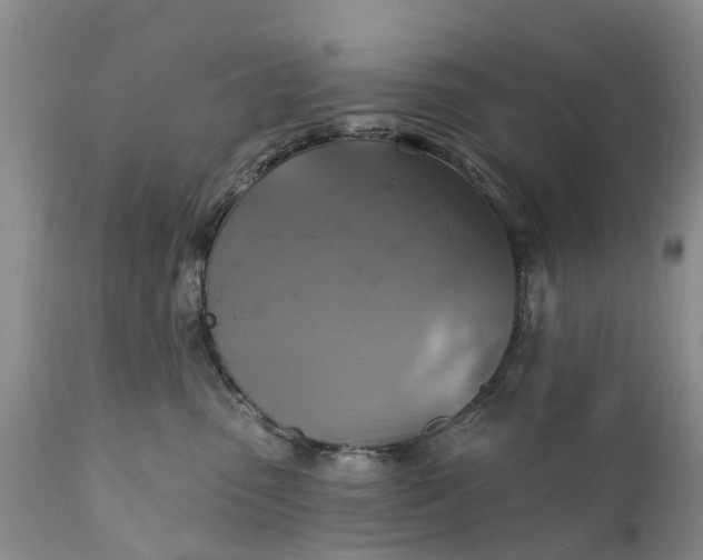 X0000111380475200907241314