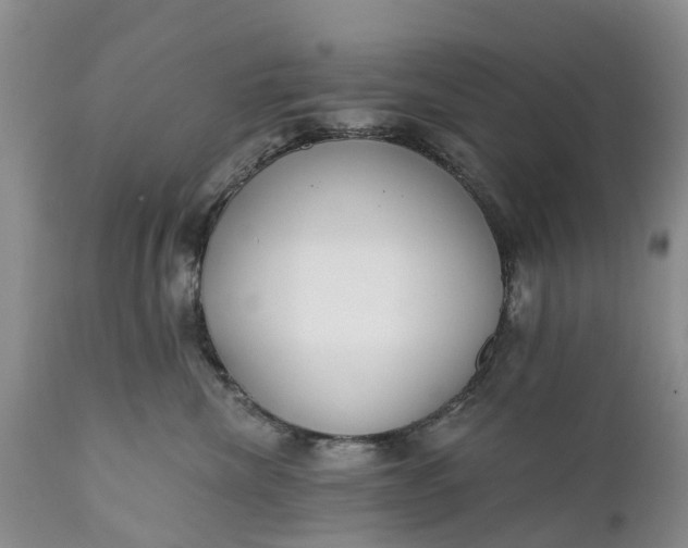 X0000111380476200907241314