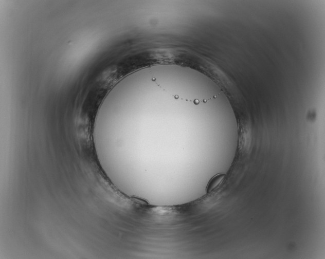 X0000111380477200907241314