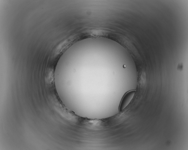 X0000111380478200907241314