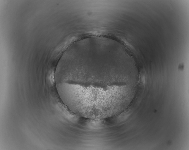 X0000111380479200907241314