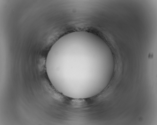 X0000111380480200907241314