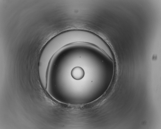 X0000111380481200907241313