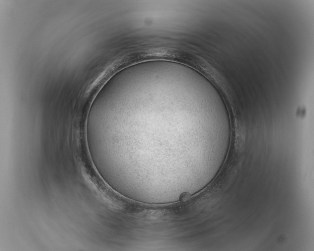 X0000111380482200907241313