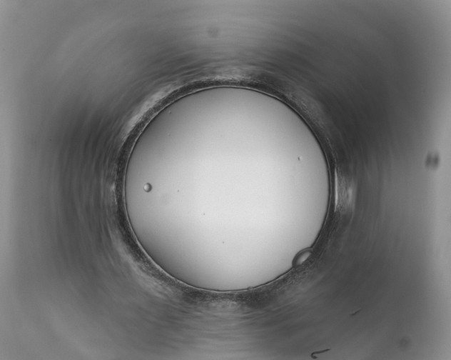 X0000111380483200907241313