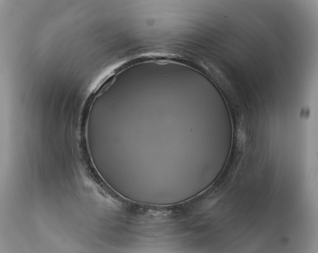 X0000111380484200907241313